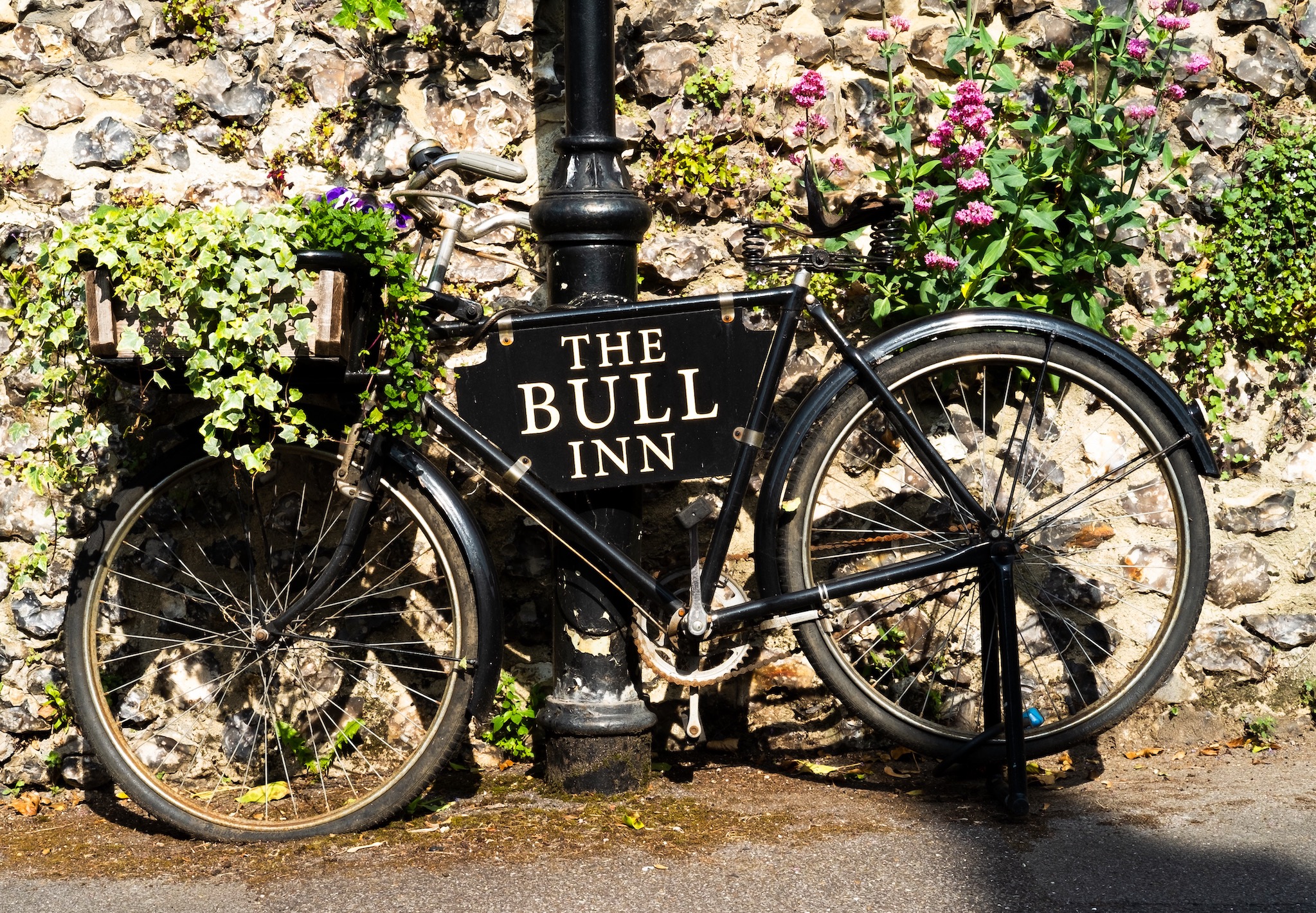 The Bull's Bike