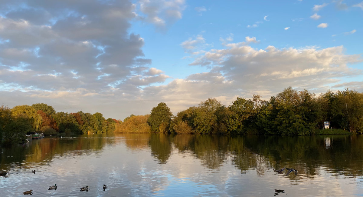 Sonning to Goring along the Thames Path